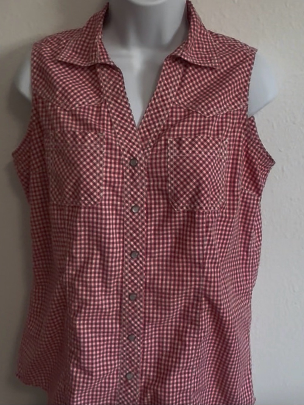 Bit & Bridle Red Gingham Sleeveless Snap Button-Down Shirt Size MD